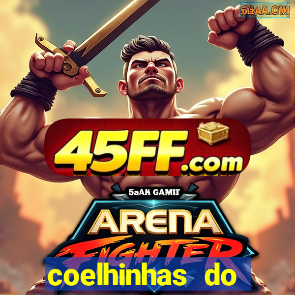 coelhinhas do brasil recife